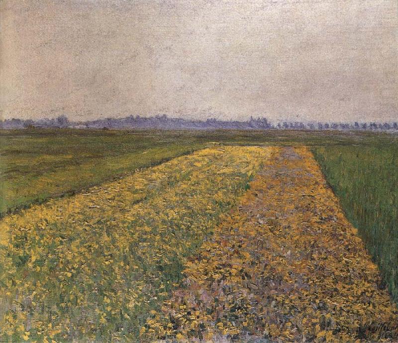 Gustave Caillebotte Yellow field china oil painting image